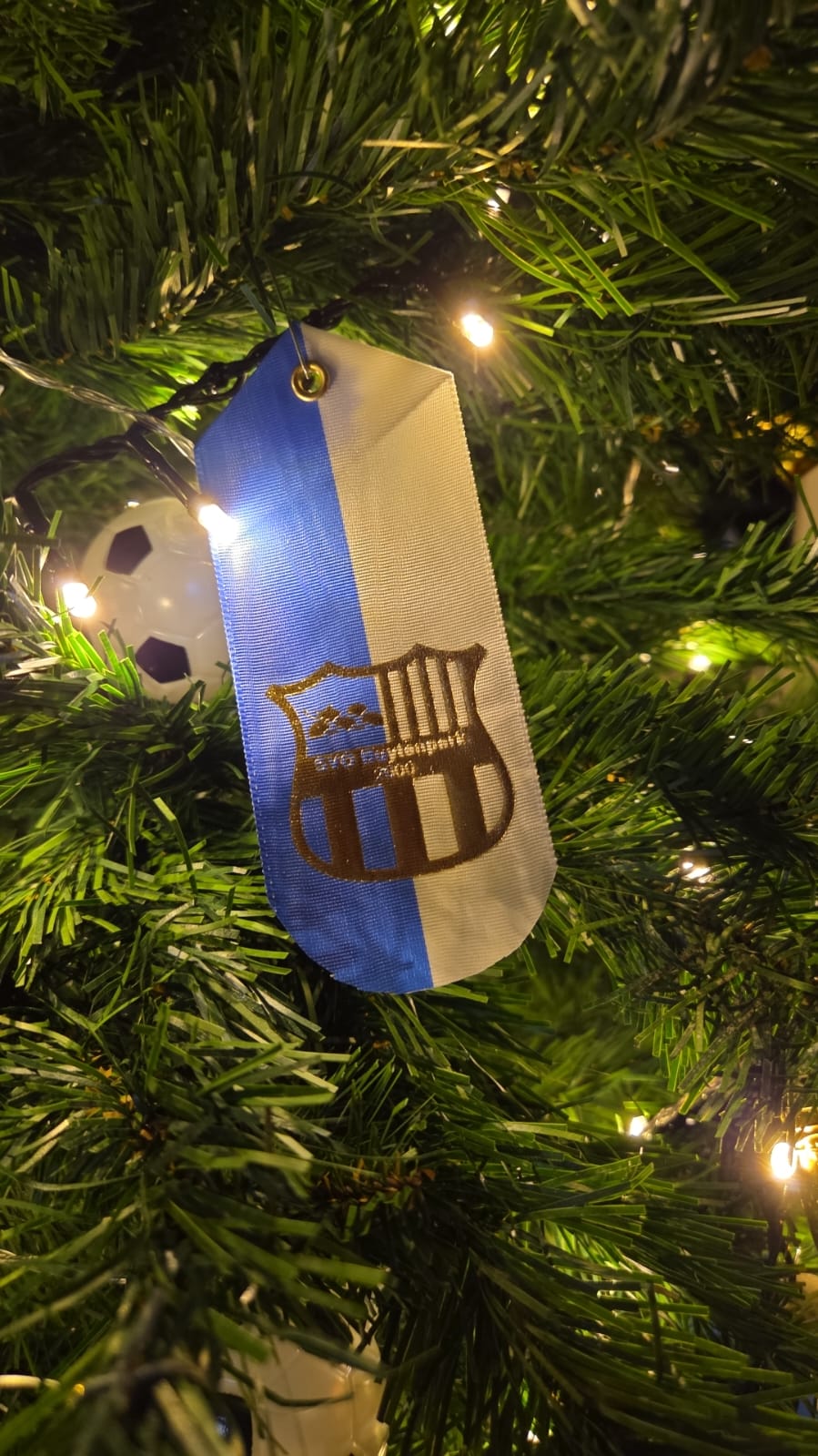 Eindejaarsbericht SVO Buytenpark